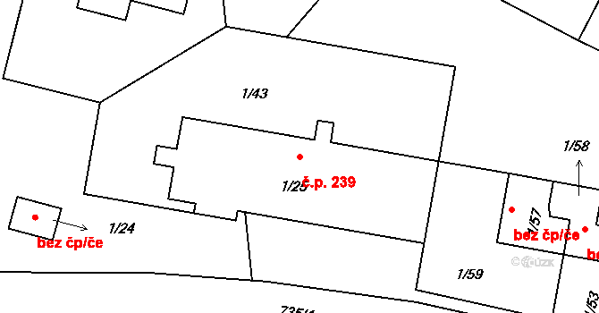Příchovice 239 na parcele st. 1/25 v KÚ Příchovice u Přeštic, Katastrální mapa