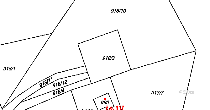 Olešnice v Orlických horách 116, Katastrální mapa