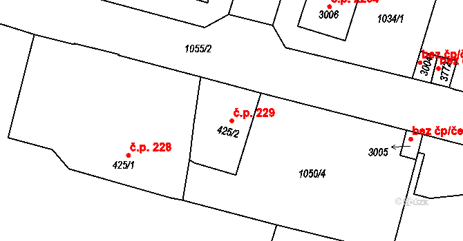Dvůr Králové nad Labem 229 na parcele st. 425/2 v KÚ Dvůr Králové nad Labem, Katastrální mapa