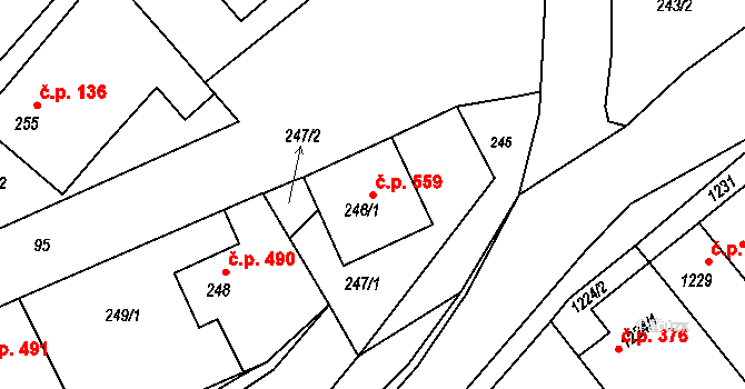 Jedovnice 559 na parcele st. 246/1 v KÚ Jedovnice, Katastrální mapa