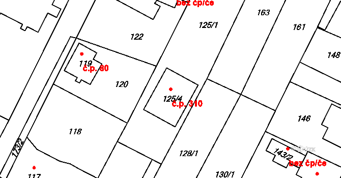 Boršov nad Vltavou 310 na parcele st. 125/4 v KÚ Boršov nad Vltavou, Katastrální mapa