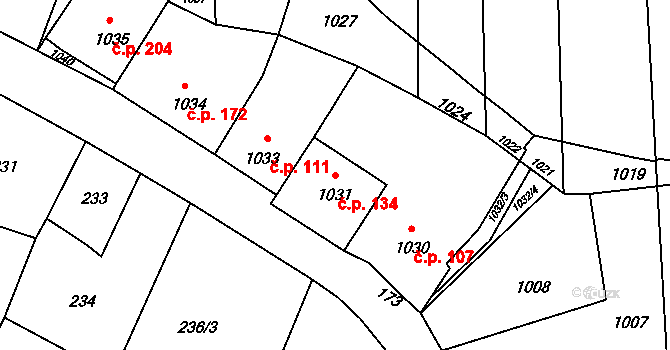 Diváky 134 na parcele st. 1031 v KÚ Diváky, Katastrální mapa