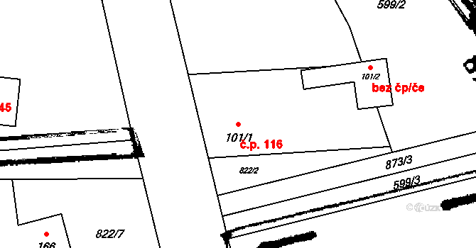 Strojetice 116, Kryry na parcele st. 101/1 v KÚ Strojetice u Podbořan, Katastrální mapa