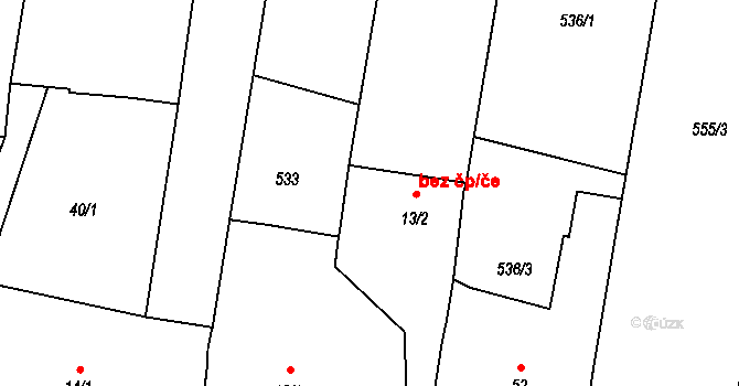 Týn nad Vltavou 46923616 na parcele st. 13/2 v KÚ Nuzice, Katastrální mapa