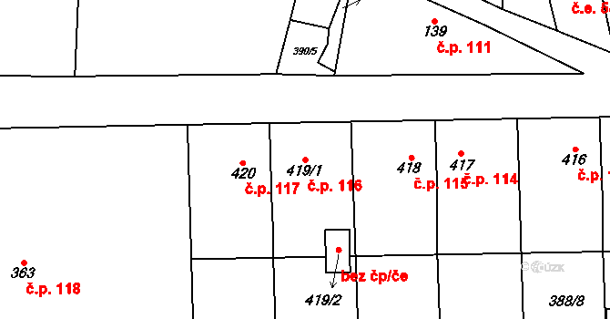 Olešnice v Orlických horách 116 na parcele st. 419/1 v KÚ Olešnice v Orlických horách, Katastrální mapa