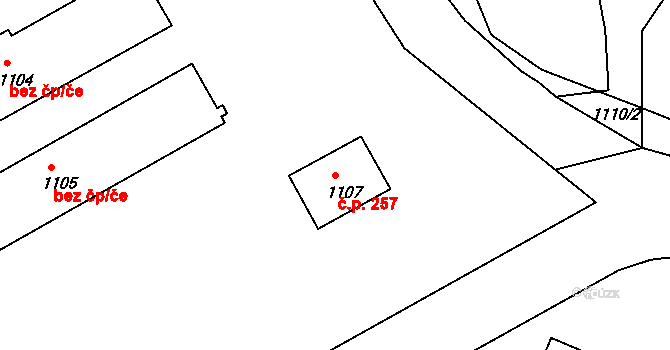 České Budějovice 4 257, České Budějovice na parcele st. 1107 v KÚ České Budějovice 4, Katastrální mapa