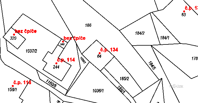 Těchonín 134 na parcele st. 64 v KÚ Těchonín, Katastrální mapa