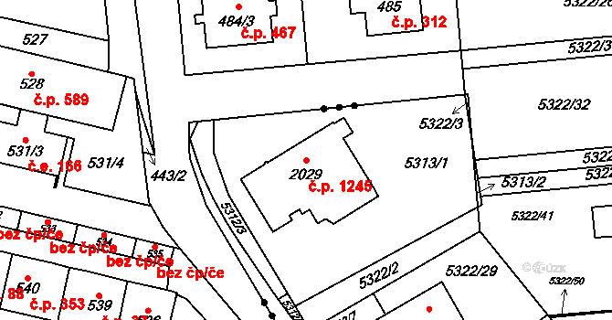 Rosice 1245 na parcele st. 2029 v KÚ Rosice u Brna, Katastrální mapa