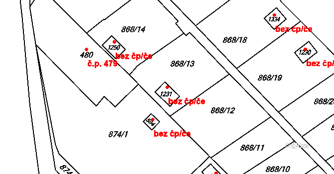 Veltrusy 50306626 na parcele st. 1231 v KÚ Veltrusy, Katastrální mapa