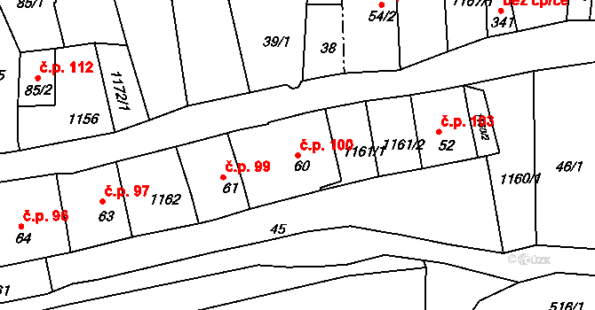 Rožmberk nad Vltavou 100 na parcele st. 60 v KÚ Rožmberk nad Vltavou, Katastrální mapa