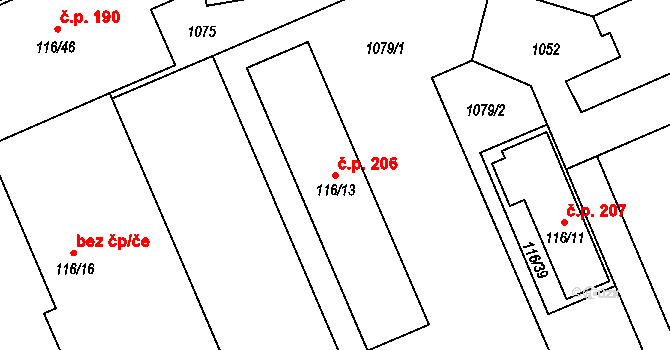 Dlouhá Ves 206, Rychnov nad Kněžnou na parcele st. 116/13 v KÚ Dlouhá Ves u Rychnova nad Kněžnou, Katastrální mapa