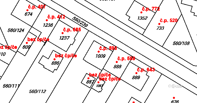Podklášteří 598, Třebíč na parcele st. 1009 v KÚ Podklášteří, Katastrální mapa