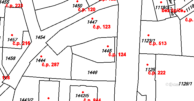 Paskov 124 na parcele st. 1445 v KÚ Paskov, Katastrální mapa