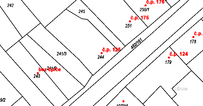 Pavlov 125 na parcele st. 244 v KÚ Pavlov u Dolních Věstonic, Katastrální mapa