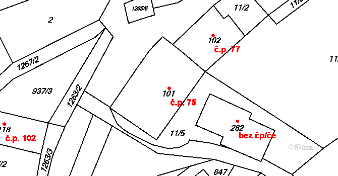 Černovice 75 na parcele st. 101 v KÚ Černovice u Kunštátu, Katastrální mapa
