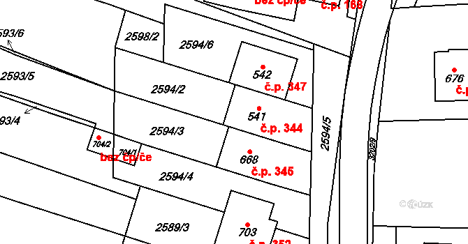 Osvětimany 344 na parcele st. 541 v KÚ Osvětimany, Katastrální mapa