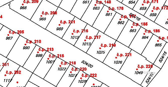 Stařečka 217, Třebíč na parcele st. 1013 v KÚ Třebíč, Katastrální mapa