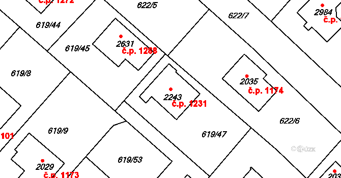 Neratovice 1231 na parcele st. 2243 v KÚ Neratovice, Katastrální mapa