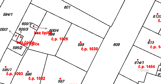 Holešovice 1030, Praha na parcele st. 598 v KÚ Holešovice, Katastrální mapa