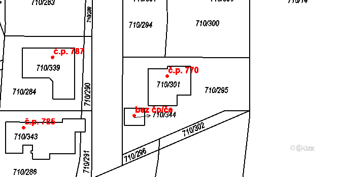 Poříčí 770, Boršov nad Vltavou na parcele st. 710/301 v KÚ Boršov nad Vltavou, Katastrální mapa