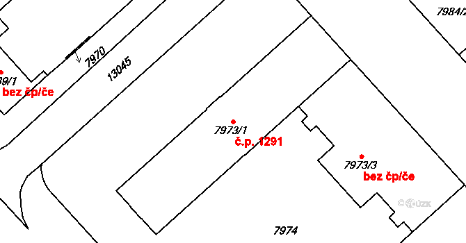 Jižní Předměstí 1291, Plzeň na parcele st. 7973/1 v KÚ Plzeň, Katastrální mapa