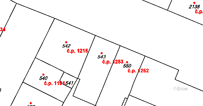 Vinohrady 1253, Praha na parcele st. 543 v KÚ Vinohrady, Katastrální mapa