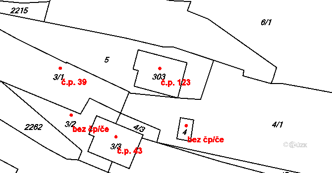 Rudíkov 123 na parcele st. 303 v KÚ Rudíkov, Katastrální mapa