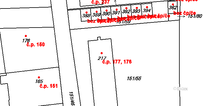 Hodice 176,177 na parcele st. 217 v KÚ Hodice, Katastrální mapa