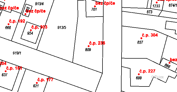 Plácky 236, Hradec Králové na parcele st. 809 v KÚ Plácky, Katastrální mapa