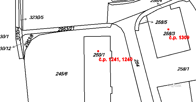 Rychnov nad Kněžnou 1240,1241 na parcele st. 250/1 v KÚ Rychnov nad Kněžnou, Katastrální mapa