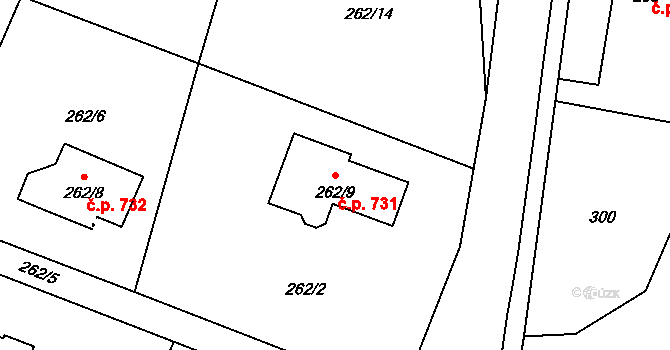 Palkovice 731 na parcele st. 262/9 v KÚ Palkovice, Katastrální mapa