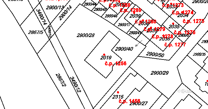 Rosice 1256 na parcele st. 2019 v KÚ Rosice u Brna, Katastrální mapa