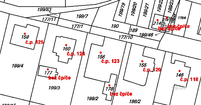 Biskupice 123 na parcele st. 156 v KÚ Biskupice u Jevíčka, Katastrální mapa