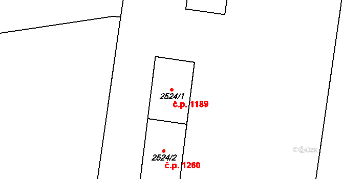 Cheb 1189 na parcele st. 2524/1 v KÚ Cheb, Katastrální mapa