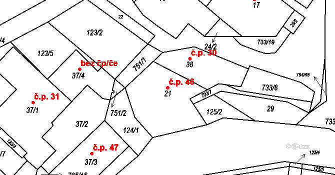 Rviště 46, Orlické Podhůří na parcele st. 21 v KÚ Rviště, Katastrální mapa
