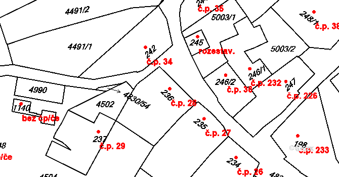 Boršice 28 na parcele st. 236 v KÚ Boršice u Buchlovic, Katastrální mapa
