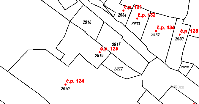 Choceňské Předměstí 125, Vysoké Mýto na parcele st. 2919 v KÚ Vysoké Mýto, Katastrální mapa