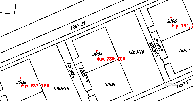 Zruč nad Sázavou 789,790 na parcele st. 3004 v KÚ Zruč nad Sázavou, Katastrální mapa