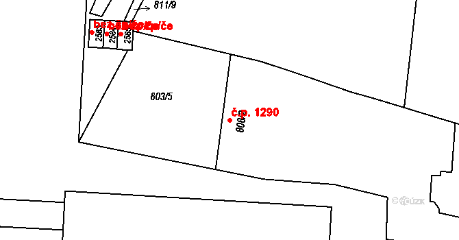 Hořice 1290 na parcele st. 808/2 v KÚ Hořice v Podkrkonoší, Katastrální mapa