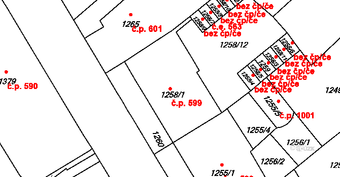 Veveří 599, Brno na parcele st. 1258/1 v KÚ Veveří, Katastrální mapa