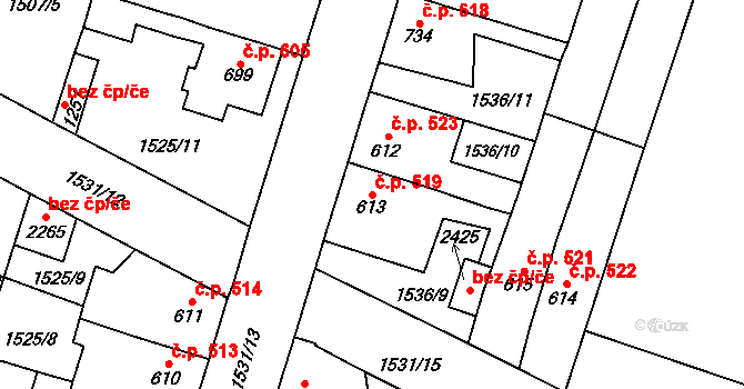 Třebechovice pod Orebem 519 na parcele st. 613 v KÚ Třebechovice pod Orebem, Katastrální mapa