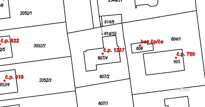 Třemošná 1237 na parcele st. 607/4 v KÚ Třemošná, Katastrální mapa
