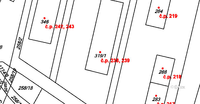 Rokytnice v Orlických horách 238,239 na parcele st. 319/1 v KÚ Rokytnice v Orlických horách, Katastrální mapa