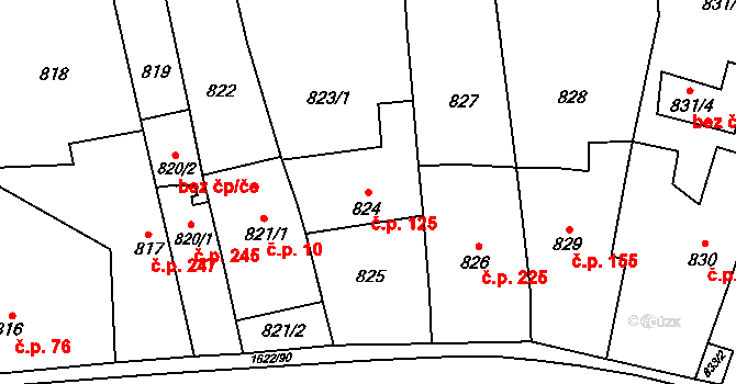 Drnovice 125 na parcele st. 824 v KÚ Drnovice u Vyškova, Katastrální mapa