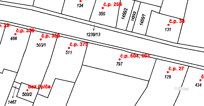 Benešov nad Ploučnicí 603,604 na parcele st. 797 v KÚ Benešov nad Ploučnicí, Katastrální mapa