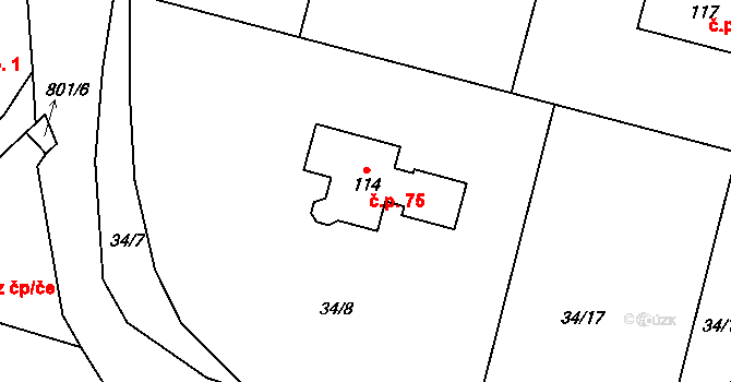 Srlín 75, Bernartice na parcele st. 114 v KÚ Srlín, Katastrální mapa