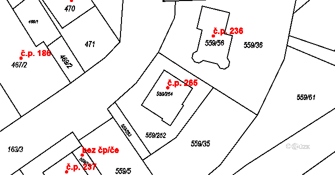 Radostice 265 na parcele st. 559/254 v KÚ Radostice u Brna, Katastrální mapa