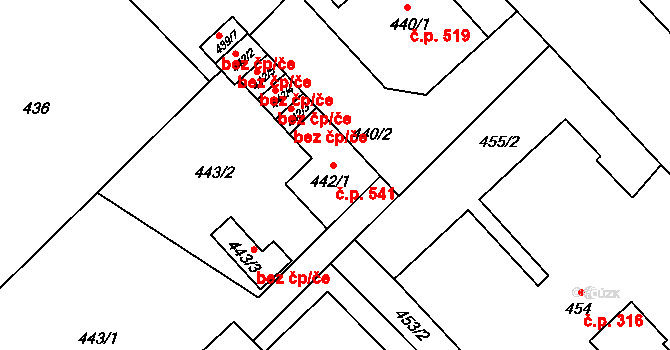 Nový Bor 541 na parcele st. 442/1 v KÚ Nový Bor, Katastrální mapa