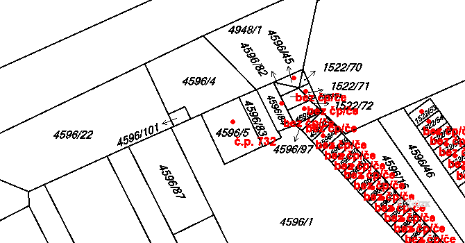 Litomyšlské Předměstí 732, Vysoké Mýto na parcele st. 4596/5 v KÚ Vysoké Mýto, Katastrální mapa