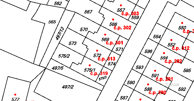 Rychlov 313, Bystřice pod Hostýnem na parcele st. 572 v KÚ Rychlov u Bystřice pod Hostýnem, Katastrální mapa